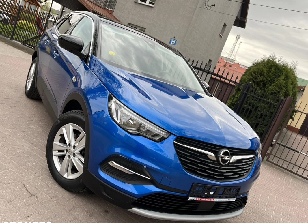 Opel Grandland X cena 61900 przebieg: 173555, rok produkcji 2018 z Działdowo małe 781